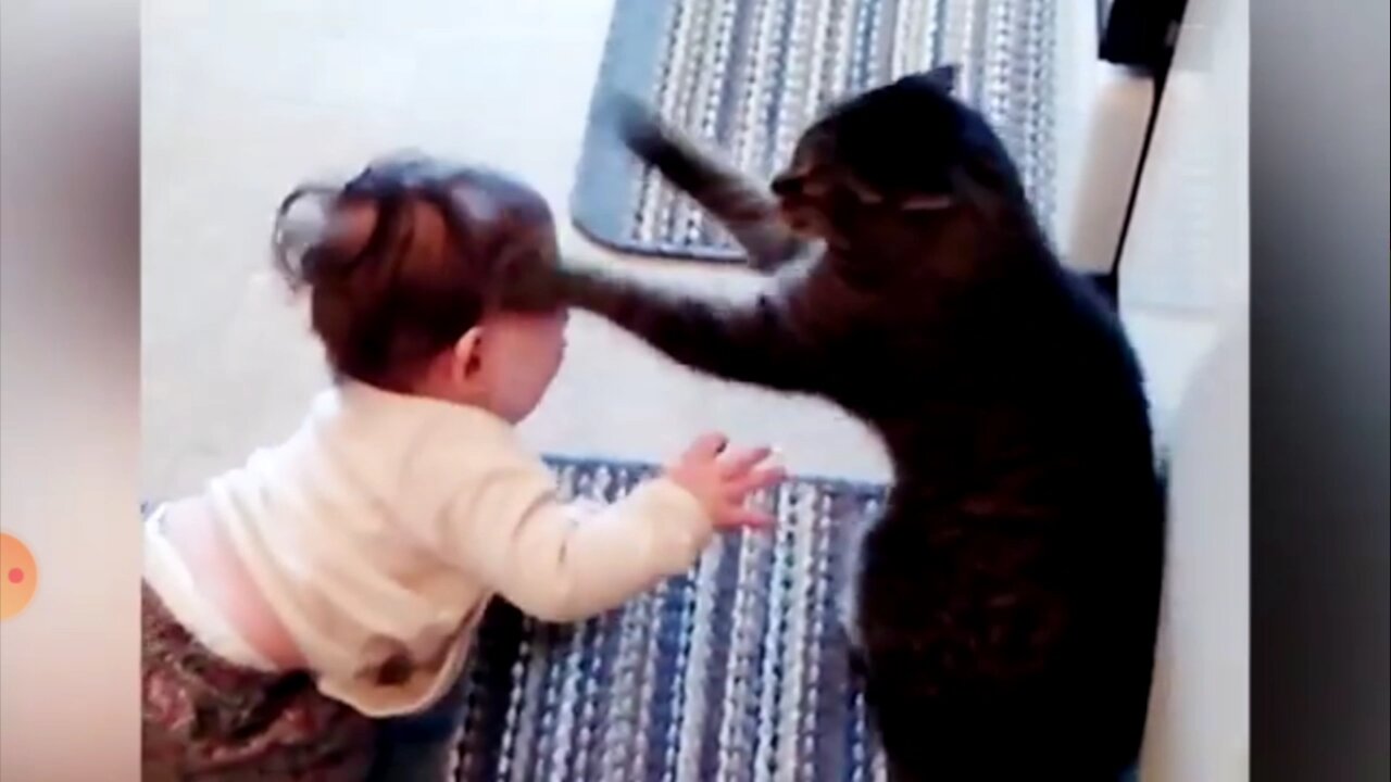 Baby and Cat Fun and Cute - Funny Baby Video2020