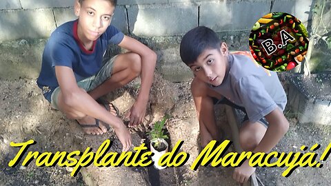 Transplantando Muda do Maracujá para o Chão! #diy #diygarden #hortaorganica