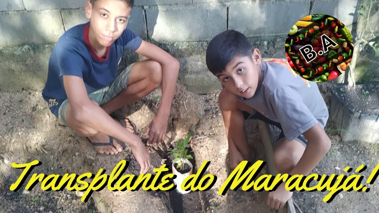 Transplantando Muda do Maracujá para o Chão! #diy #diygarden #hortaorganica