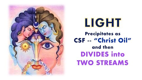 LIGHT precipitated as CSF by the Claustrum DIVIDES INTO TWO STREAMS - - Pituitary and Pineal