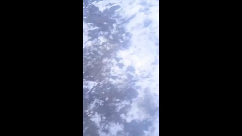 Russia Ukraine war