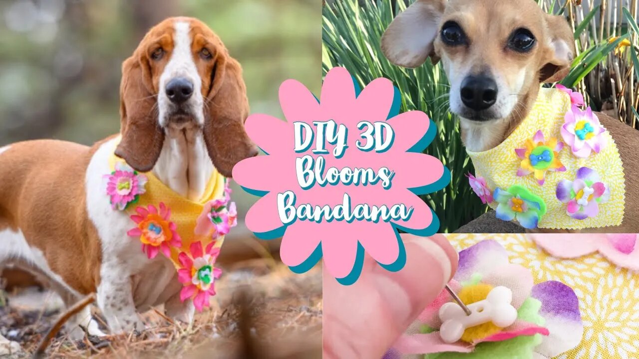 How to make a Spring 3D Blooms Dog Bandana