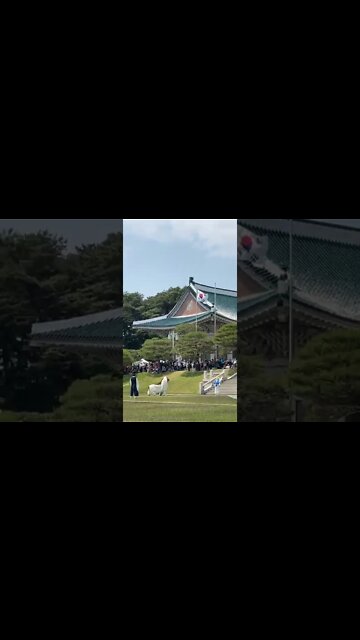 청와대 국악 공연