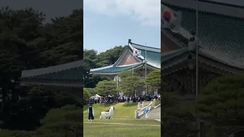 청와대 국악 공연