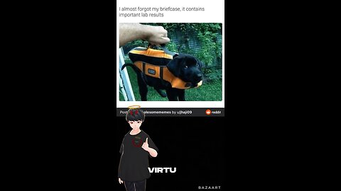 Several memes I guess