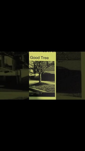 HOA Funny Tree Trim Notice #Shorts 😂