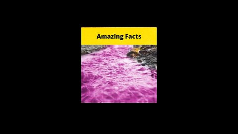 Top 3 Amazing Facts