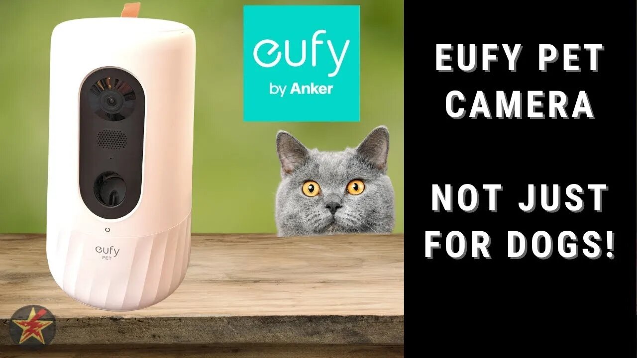 Looking For The Perfect Pet Camera? Check Out Our Eufy Pet D605 Review!