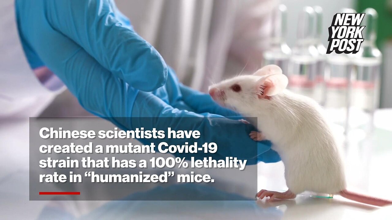 Chinese lab crafts mutant COVID-19 strain with 100% kill rate in ‘humanized’ mice