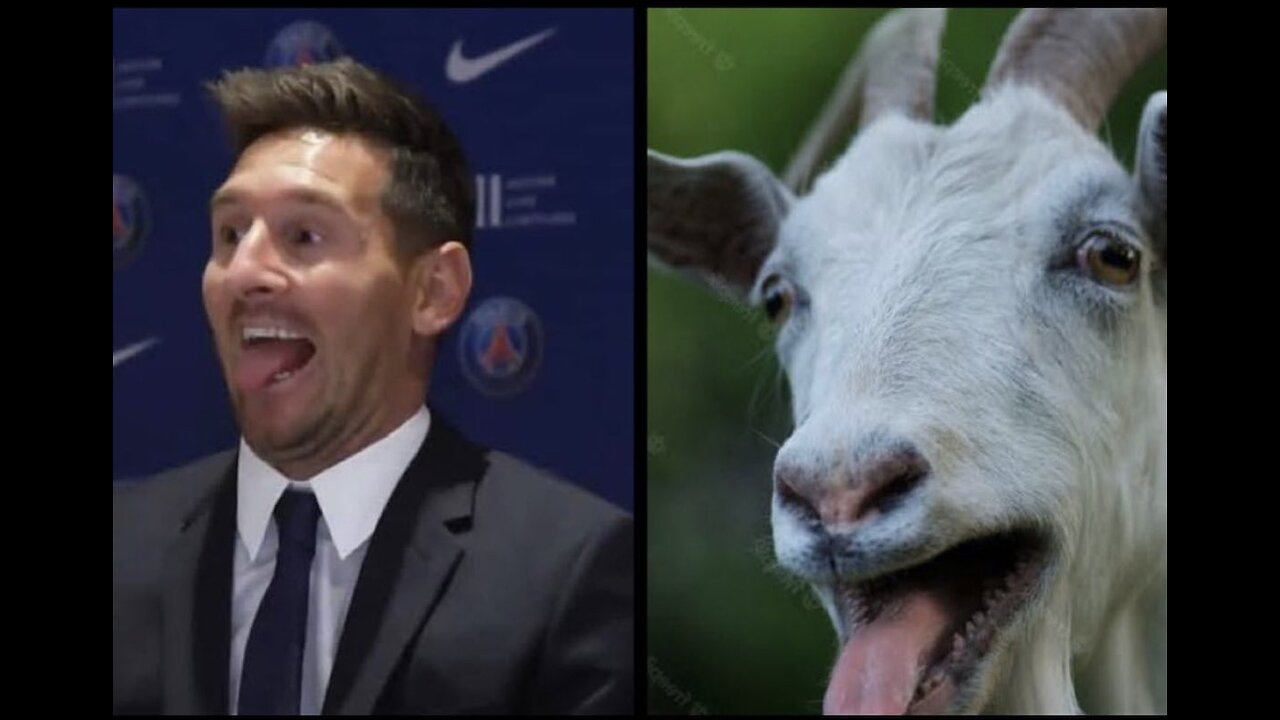 Mr Perlex loves Messi The Goat...