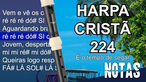 Harpa Cristã 224 - É o tempo de segar - Cifra melódica