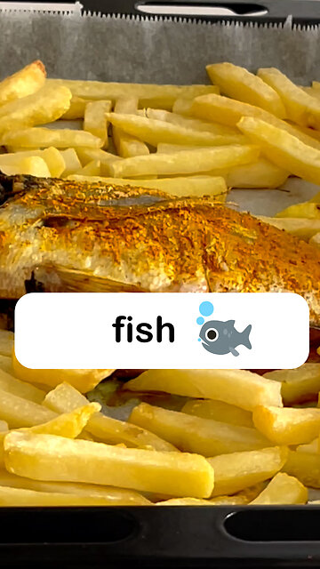 هر لحظه با ماهی، لذت بخش تر از آنچه تصور می‌کنید