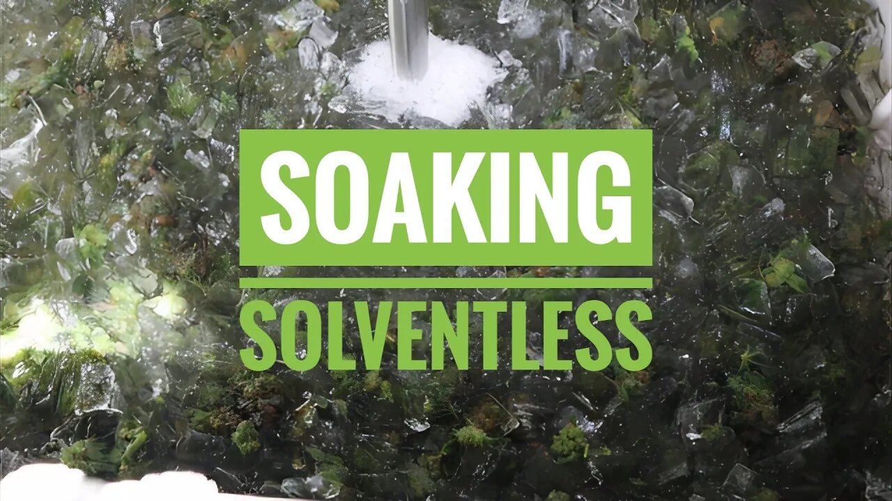 Washing Basics - Soaking Solventless