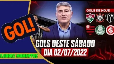 TODOS OS GOLS DESTE SÁBADO 02/07/2022 GOLS DO BRASILEIRÃO SÉRIE A, B e C