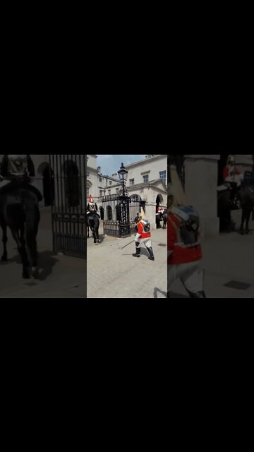 Reds take over from the blues #horseguardsparade