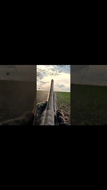 DEAD in his TRACKS!!!