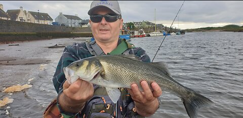 Sea Bass
