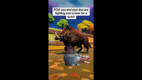 POV: You and your duo are fighting ovef a boar for a quest…