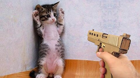 Funniest Animals 2023 😂 Funny Cats and Dogs Videos 😺🐶