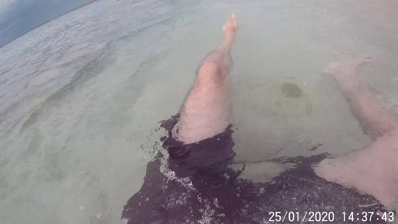 Snorkel 🐟🦪 Snorkeling 🏝 Isla Catalina 📅 25.01.2020 ◉ Parte V