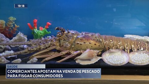 Saúde: Comerciantes apostam na venda de Pescado para fisgar consumidores.