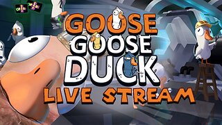 Goose Goose Duck Zeo first time