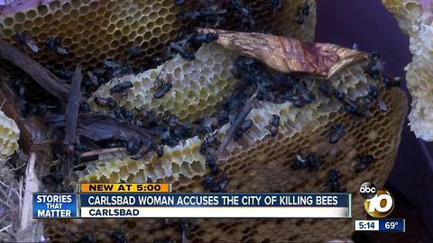 Carlsbad woman says the city is killing bees