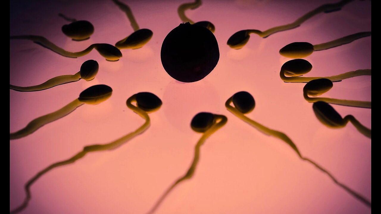 Research Shows Global Sperm Counts Has Fallen 62%