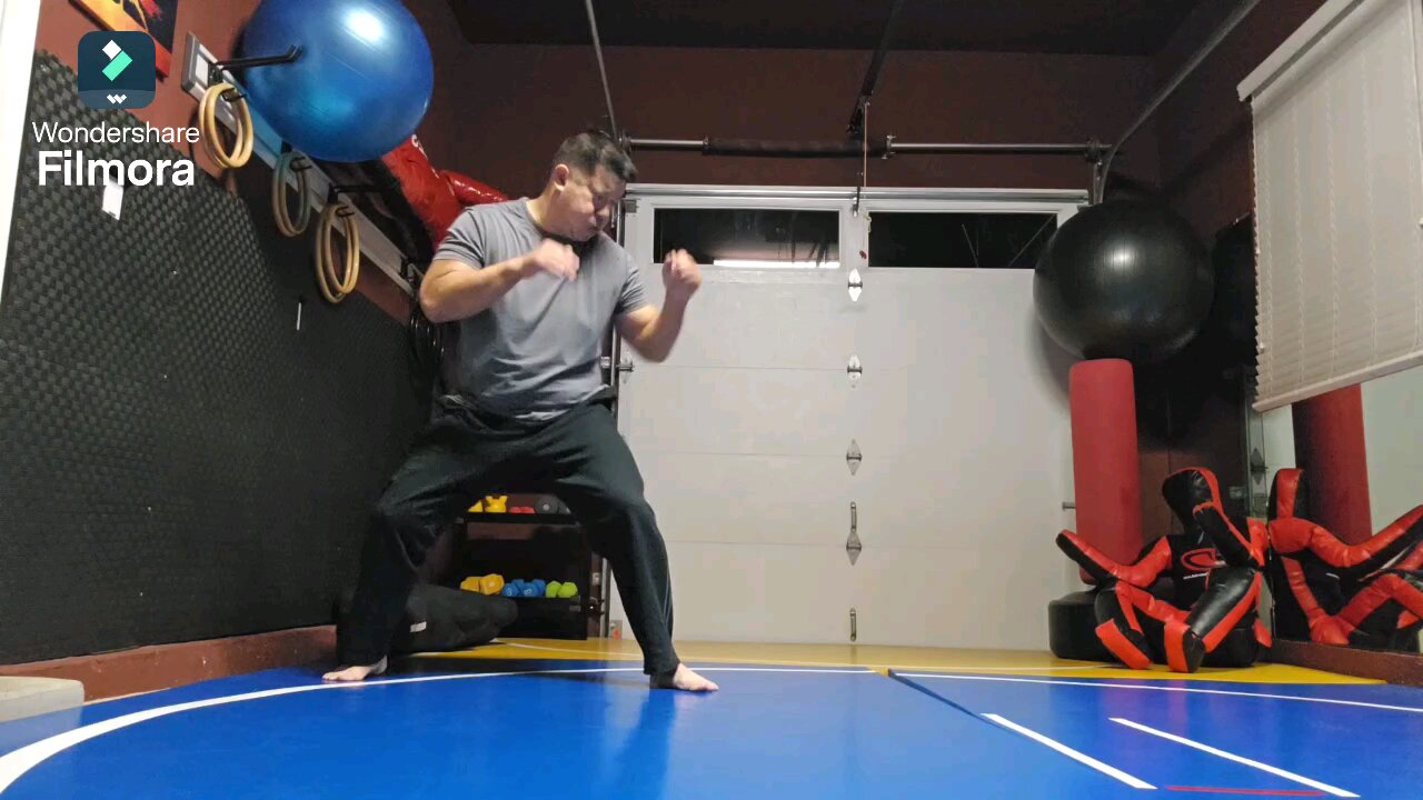 WTD Switchleg Hook Kick (to Double Leg shot)