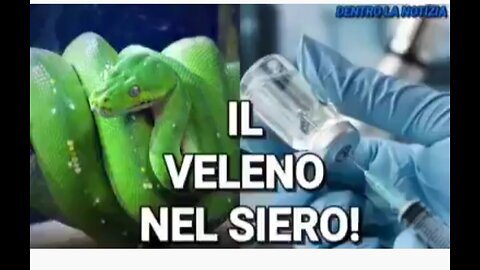 COSE CHE FACEBOOK CENSURA: TROVATO VELENO DI SERPENTE SINTETIZZATO DENTRO I VACCINI ANTI COVID-19!