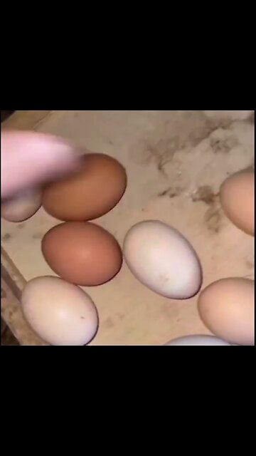 Attacking humanity from all fronts.