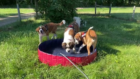 Drinking from the biggest bowl