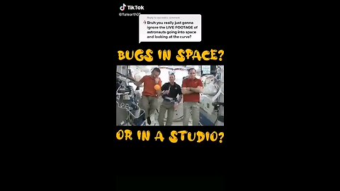 Bugs in Space