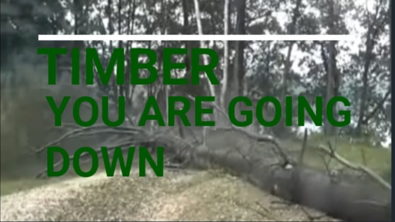 TIMBER YOU ARE COMING DOWN