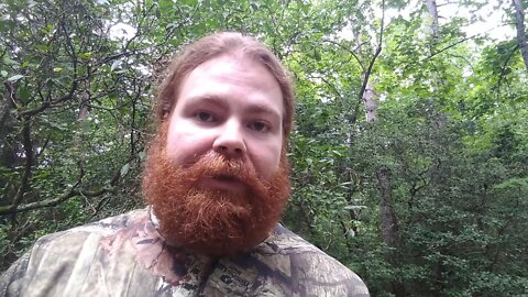 Random Bible Passage of the Day Hebrews 13:2