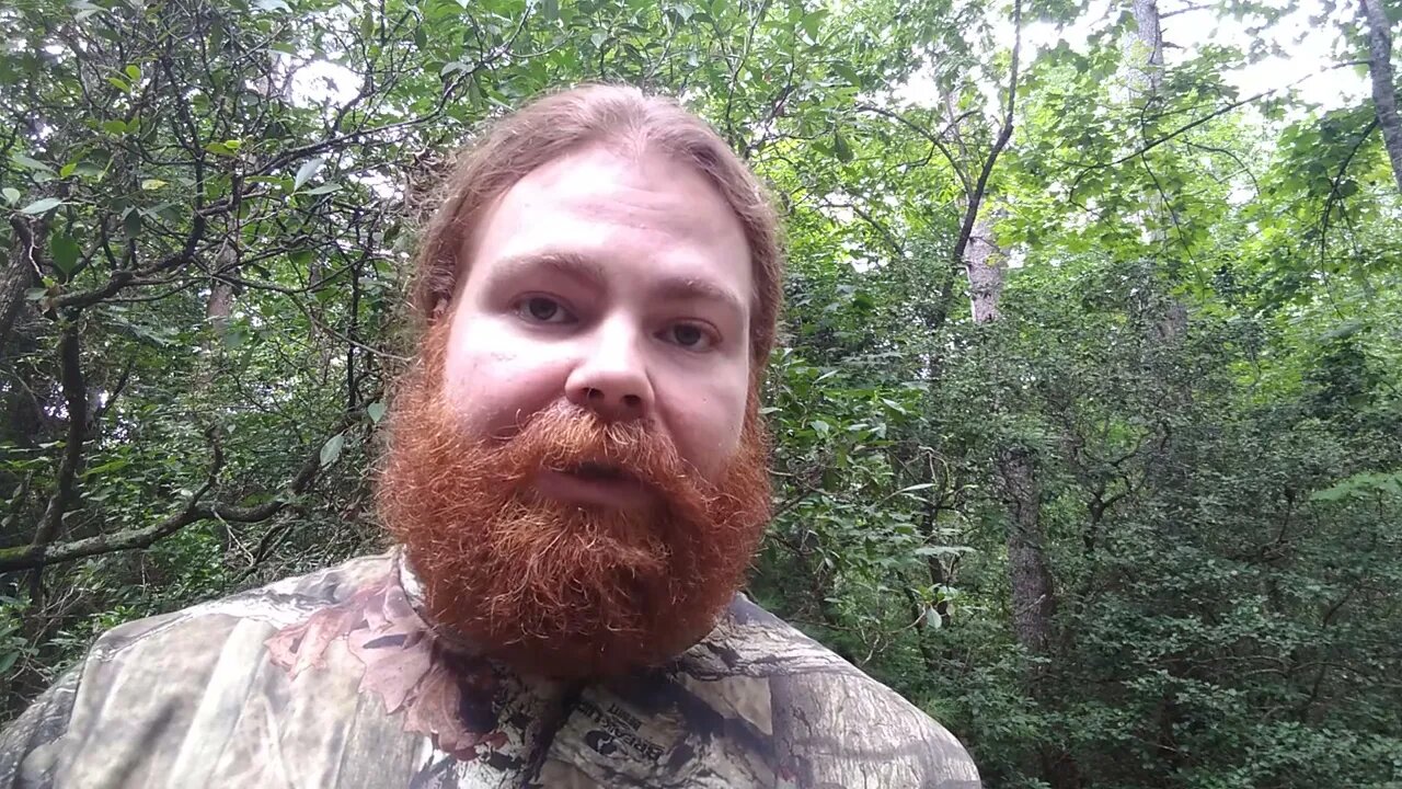 Random Bible Passage of the Day Hebrews 13:2