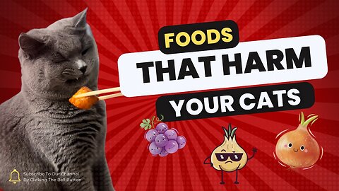 Foods that harm your cats you need to know | Fun facts about cats