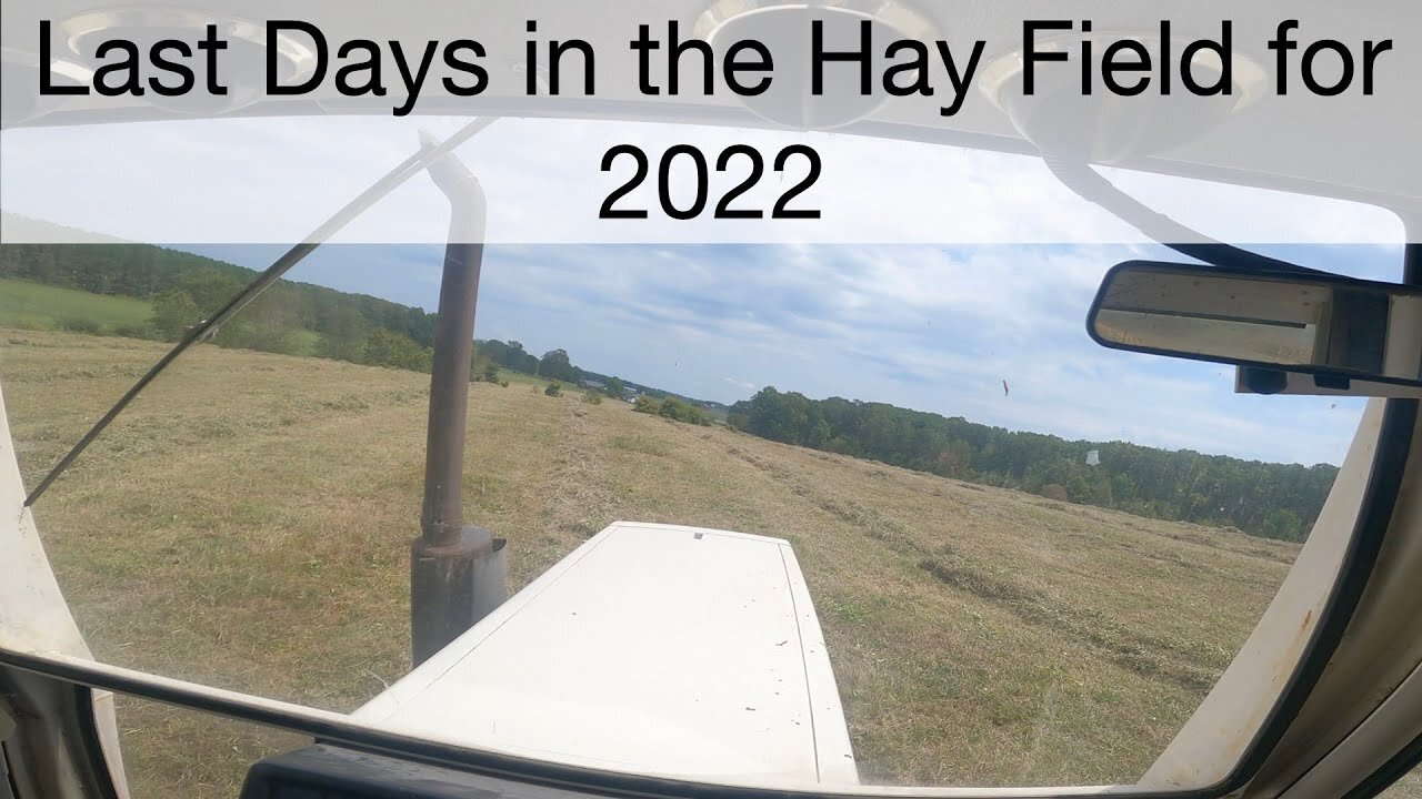 Last Days in the Hay Field for 2022