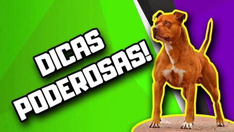 Alimentação de Pitbull que previne doenças | Dr. Edgard Gomes | Alimentação natural para Cães