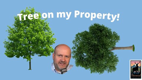 There's a TREE on my PROPERTY....Deerwood Realty and Friends... Ep 9