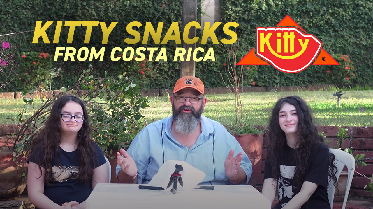 Testing Kitty Snacks from Costa Rica | Vlog 27 February 2023