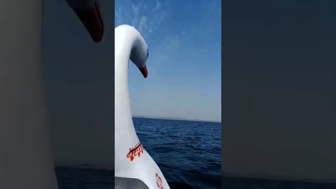 29 June 2022 youtube shorts