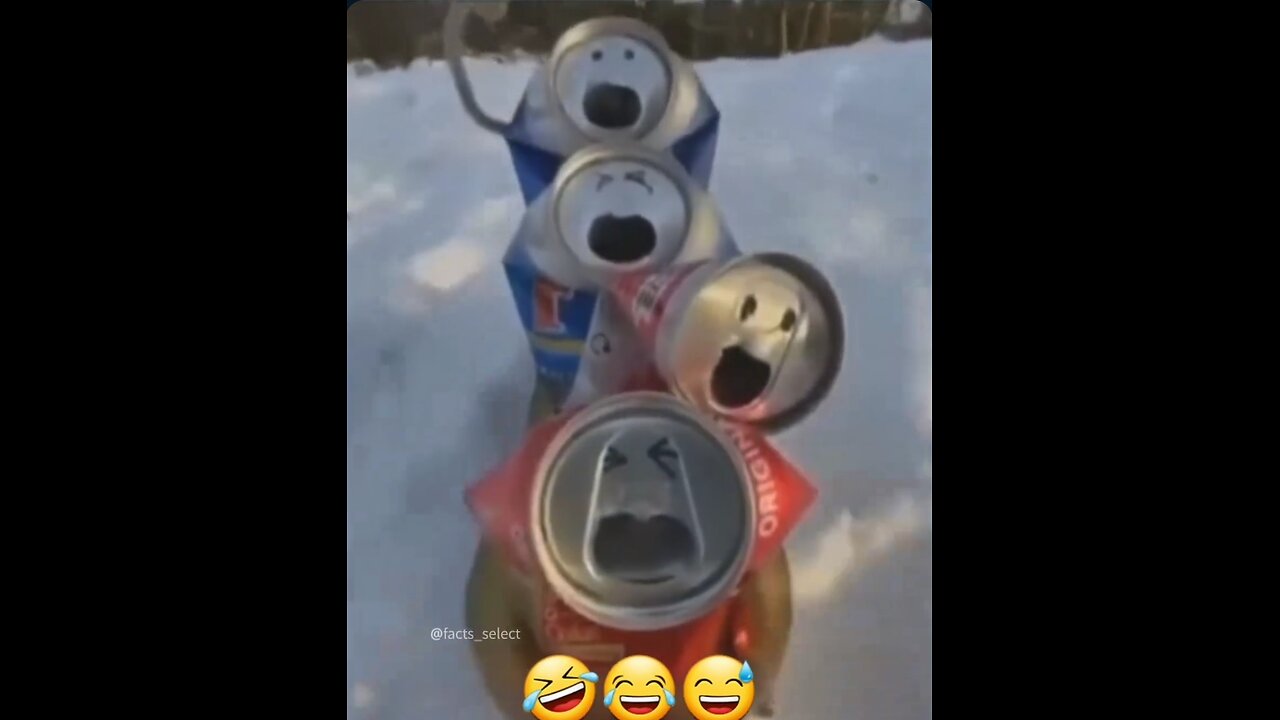 amazing 😍🤩