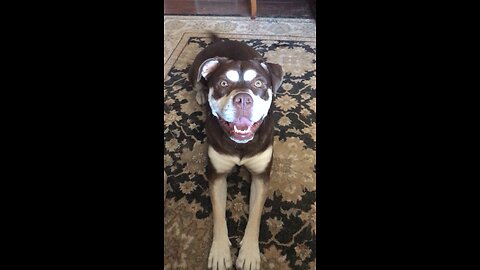 Sophie says I love you?
