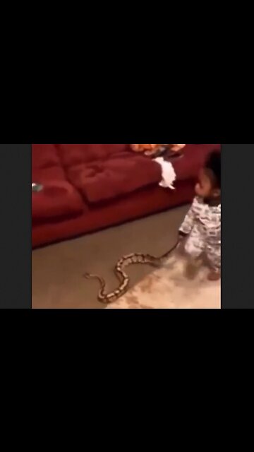 Baby Surprises Mother With A Snake She Found Outside - HaloRockNews