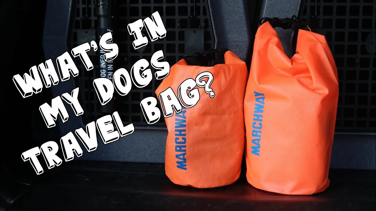 What's in My Dog's Travel Bag for the Car - Updated 2022