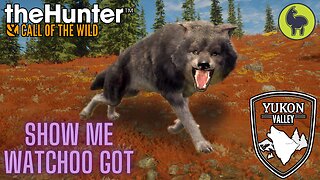 Show Me Whatchoo Got, Yukon Valley | theHunter: Call of the Wild (PS5 4K)