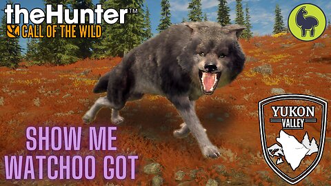 Show Me Whatchoo Got, Yukon Valley | theHunter: Call of the Wild (PS5 4K)