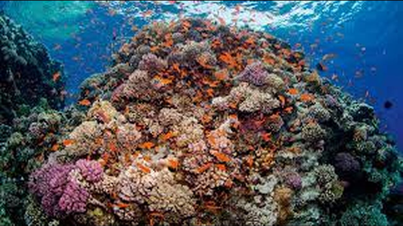 Can tourism positively impact climate change in the Indian Ocean?