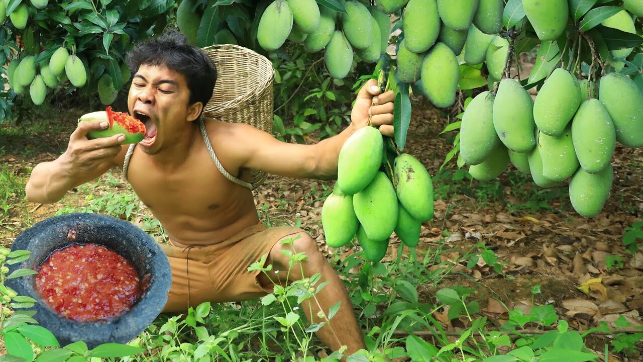 Survival in the forest - Eating mango with salt peppers delicious